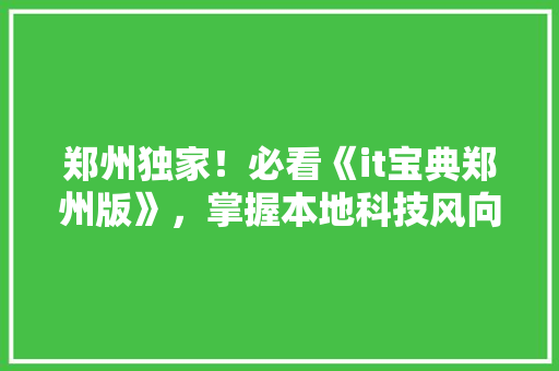 郑州独家！必看《it宝典郑州版》，掌握本地科技风向标！ 头条优化