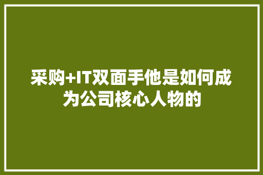 采购+IT双面手他是如何成为公司核心人物的 网站优化