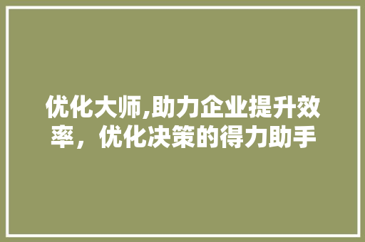 优化大师,助力企业提升效率，优化决策的得力助手 优化大师,助力企业提升效率，优化决策的得力助手 网站优化