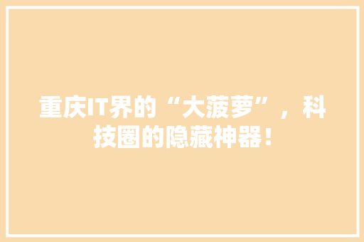 重庆IT界的“大菠萝”，科技圈的隐藏神器！