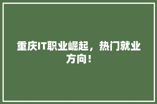 重庆IT职业崛起，热门就业方向！ 搜狗优化