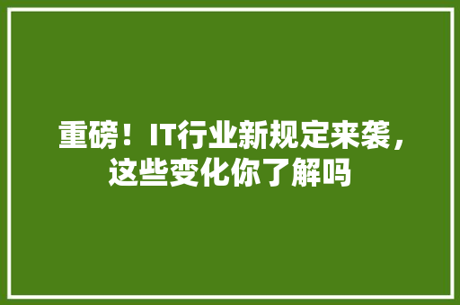 重磅！IT行业新规定来袭，这些变化你了解吗