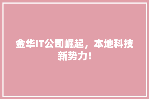 金华IT公司崛起，本地科技新势力！