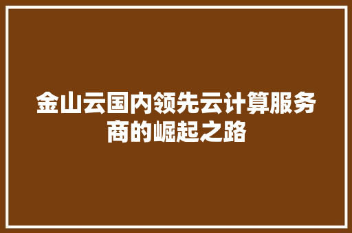 金山云国内领先云计算服务商的崛起之路
