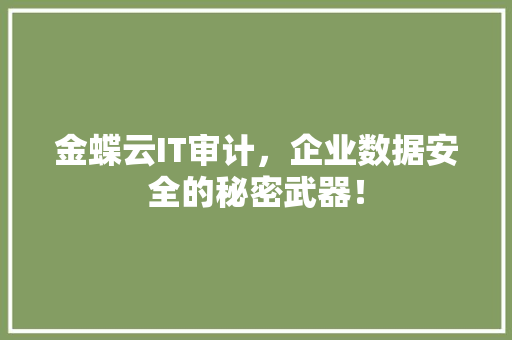 金蝶云IT审计，企业数据安全的秘密武器！ 头条优化