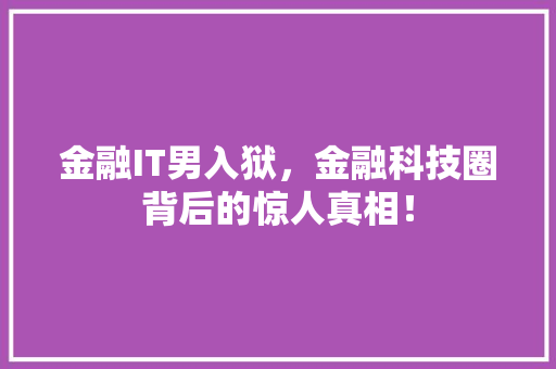 金融IT男入狱，金融科技圈背后的惊人真相！