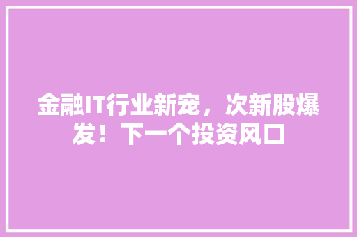 金融IT行业新宠，次新股爆发！下一个投资风口 seo技术