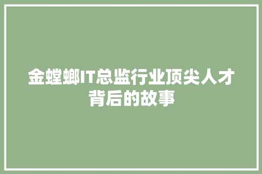 金螳螂IT总监行业顶尖人才背后的故事