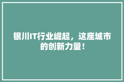 银川IT行业崛起，这座城市的创新力量！ 搜狗优化