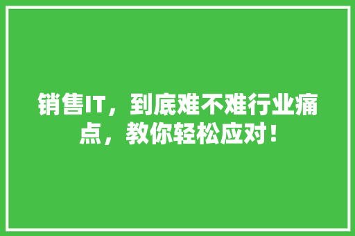 销售IT，到底难不难行业痛点，教你轻松应对！ 小程序开发