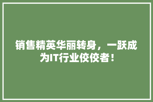 销售精英华丽转身，一跃成为IT行业佼佼者！
