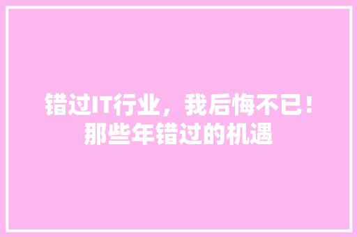 错过IT行业，我后悔不已！那些年错过的机遇 网站优化