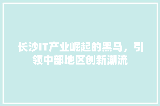 长沙IT产业崛起的黑马，引领中部地区创新潮流