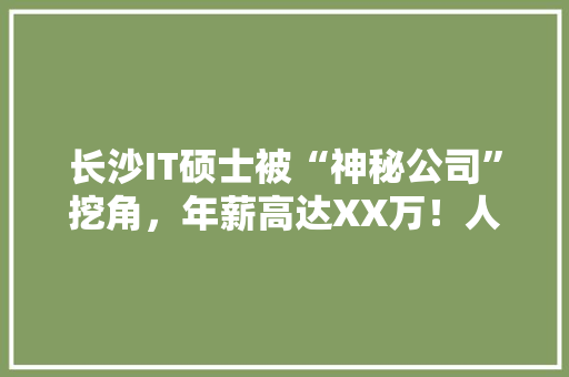 长沙IT硕士被“神秘公司”挖角，年薪高达XX万！人才争夺战背后的秘密！