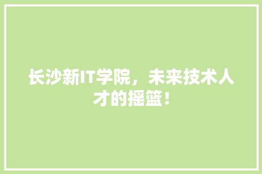 长沙新IT学院，未来技术人才的摇篮！ 网站开发