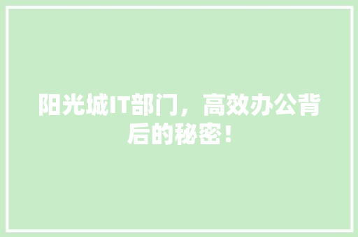 阳光城IT部门，高效办公背后的秘密！