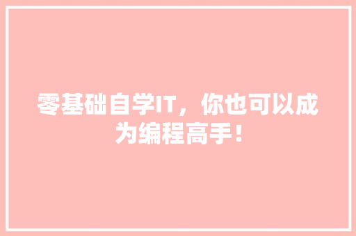 零基础自学IT，你也可以成为编程高手！ seo技术