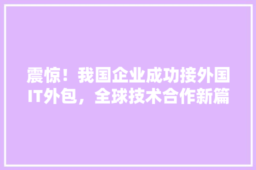 震惊！我国企业成功接外国IT外包，全球技术合作新篇章！ 360搜优化