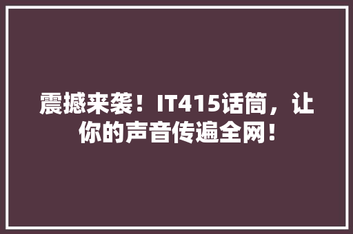 震撼来袭！IT415话筒，让你的声音传遍全网！ 小程序开发