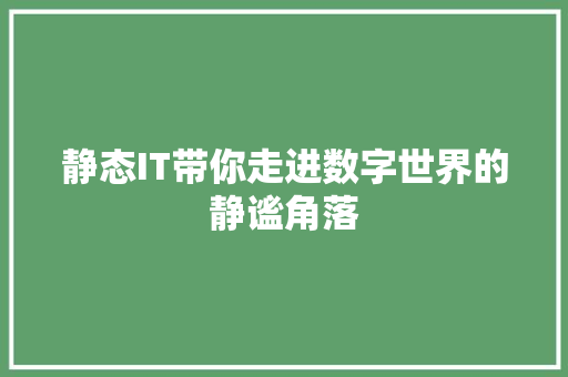 静态IT带你走进数字世界的静谧角落