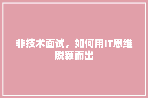 非技术面试，如何用IT思维脱颖而出 seo技术