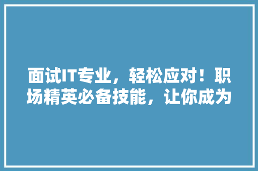 面试IT专业，轻松应对！职场精英必备技能，让你成为行业佼佼者！ 网站优化