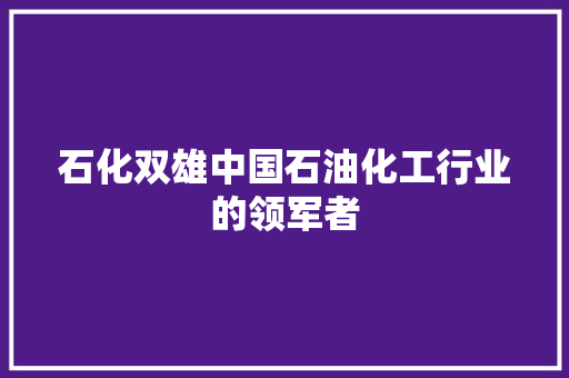 石化双雄中国石油化工行业的领军者