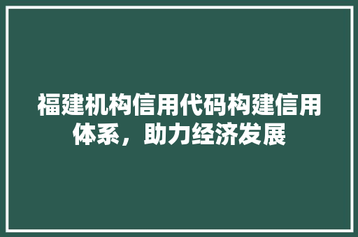 福建机构信用代码构建信用体系，助力经济发展
