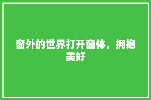 窗外的世界打开窗体，拥抱美好
