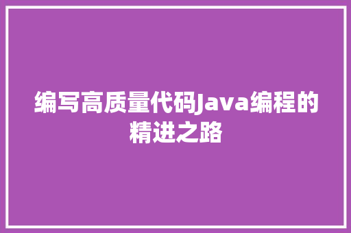 编写高质量代码Java编程的精进之路 seo技术
