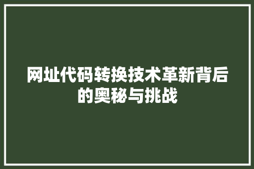 网址代码转换技术革新背后的奥秘与挑战