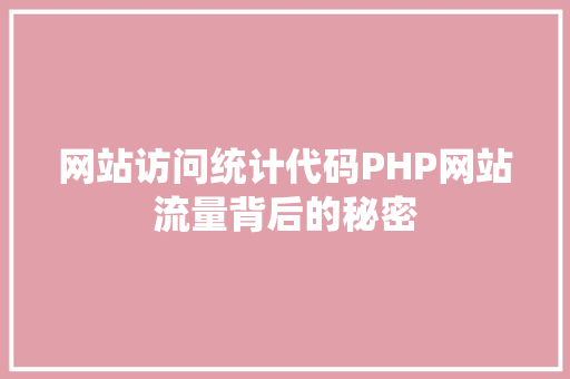 网站访问统计代码PHP网站流量背后的秘密