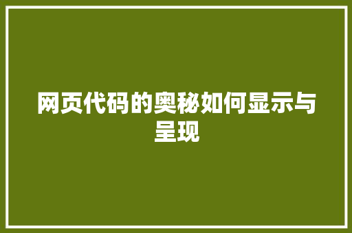 网页代码的奥秘如何显示与呈现 360搜优化