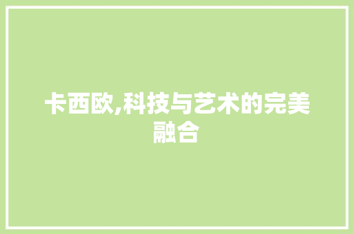 卡西欧,科技与艺术的完美融合