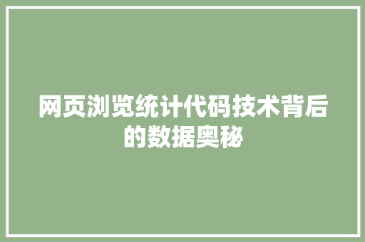 网页浏览统计代码技术背后的数据奥秘 头条优化