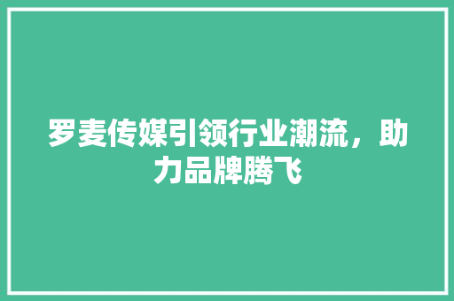 罗麦传媒引领行业潮流，助力品牌腾飞