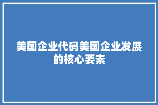 美国企业代码美国企业发展的核心要素 AI技术学习