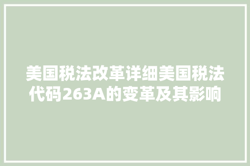 美国税法改革详细美国税法代码263A的变革及其影响 英文谷歌算法