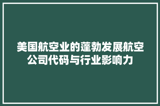 美国航空业的蓬勃发展航空公司代码与行业影响力