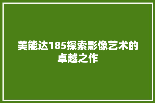 美能达185探索影像艺术的卓越之作