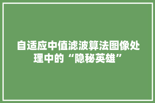 自适应中值滤波算法图像处理中的“隐秘英雄” 360搜优化