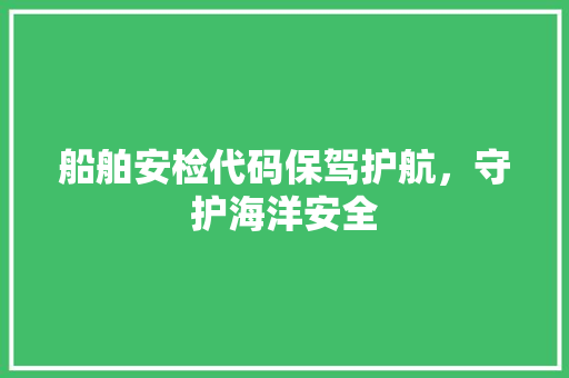 船舶安检代码保驾护航，守护海洋安全 英文谷歌算法