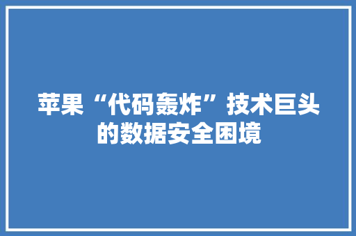 苹果“代码轰炸”技术巨头的数据安全困境