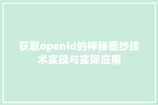 获取openid的神秘面纱技术实现与实际应用