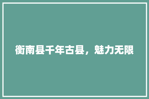 衡南县千年古县，魅力无限 网站开发