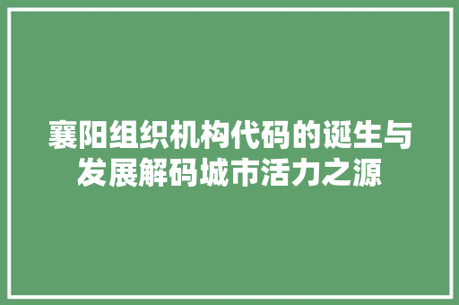 襄阳组织机构代码的诞生与发展解码城市活力之源