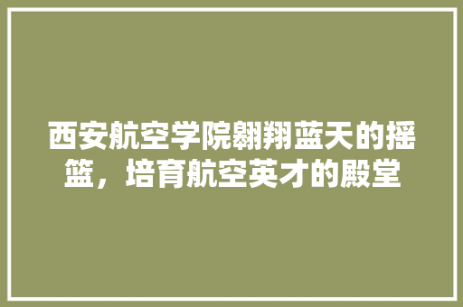 西安航空学院翱翔蓝天的摇篮，培育航空英才的殿堂