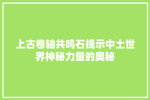 上古卷轴共鸣石提示中土世界神秘力量的奥秘 百度算法