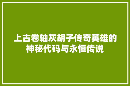 上古卷轴灰胡子传奇英雄的神秘代码与永恒传说 小程序开发