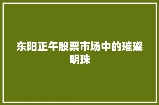 东阳正午股票市场中的璀璨明珠 网站开发